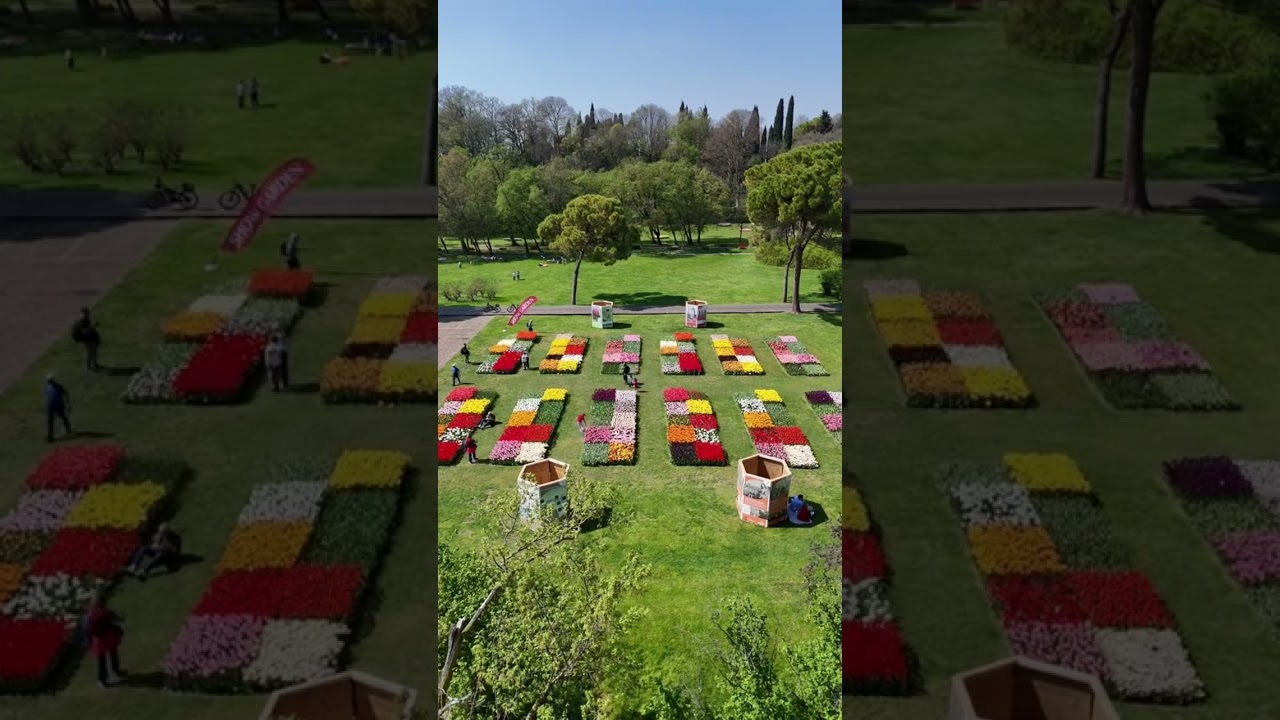 Cosa vedere nelle prime settimane di apertura stagionale al Parco Sigurtà: marzo