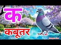 क से कबूतर, अ से आम a se anaar k sekabutar |Hindi varnmala |ABCD क सेकबूतर अ से अनार,for kids💥