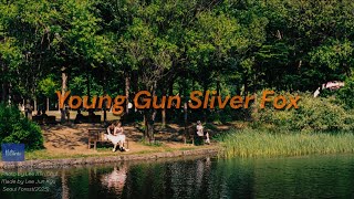 [Playlist] 그 여름, 벤치에 앉아 들은 노래ㅣ Young Gun Sliver Fox (영건실버폭스) 노래 모음