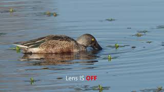 2019 12 2 E M1ii c4k 300f414 Elvis test