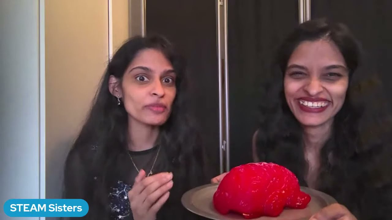 Concussion Research with the STEAM Sisters