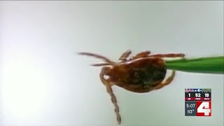 Potential new Missouri law would track tick-borne meat allergy affecting thousands