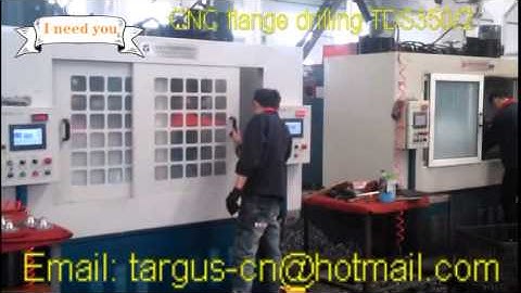high speed CNC flange drilling machine TDS350/2