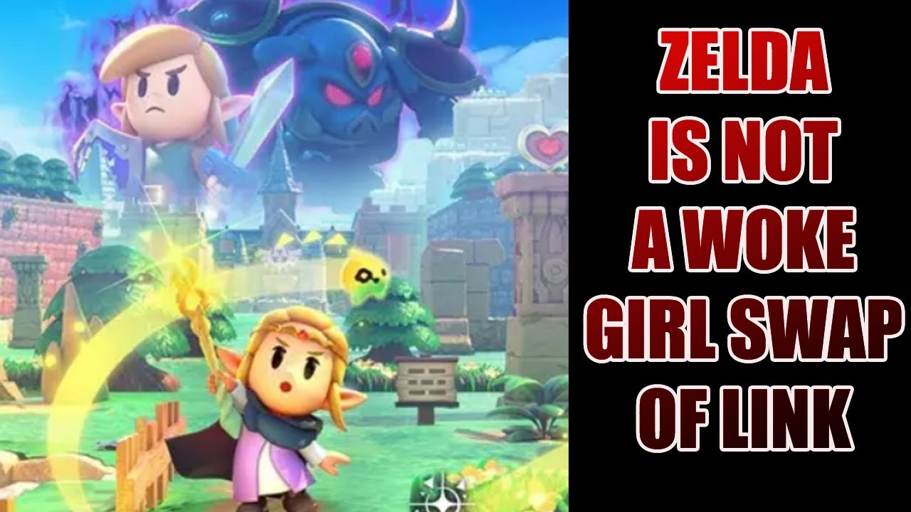 Counter-Narrative To Calling The Legend Of ZELDA Echoes Of Wisdom WOKE