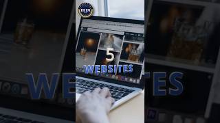 Important Website In Export Import