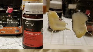 Manuka Honey Compared! UMF15+ VS Kfactor16!!!