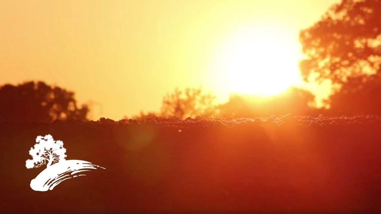 Michael Omartian - Movie Moods: Love Stories [FULL Album Visualizer]