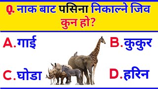 Gk question in Nepali | Samanya gyan Nepali | Nepali gk question | शिक्षक सेवा आयोग | Nepali Gk |