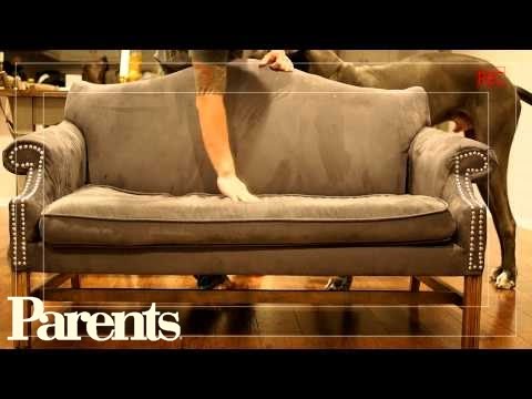 Dog Stars In Funny Baby Announcement Video | Parents