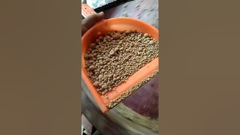 Disc Granulator video #machine