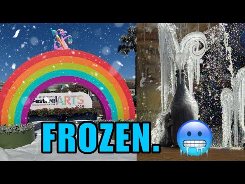 The Coldest Day EVER at Disney World