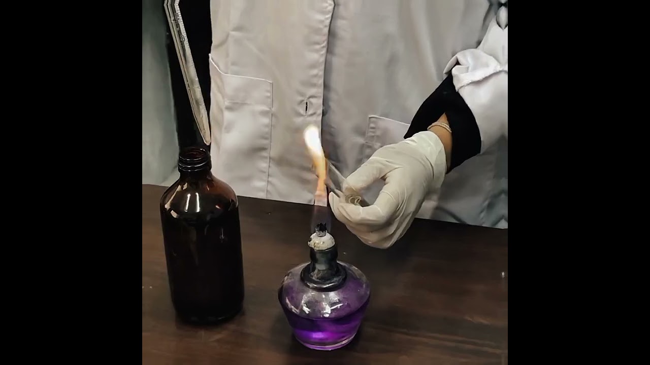 MBKM MAGANG MANDIRI Di PTAM GIRI MENANG (PERSOERODA)