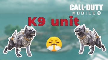 K9 UNIT IN BATTLE ROYALE | COD MOBILE | SOLO VS SQUADS