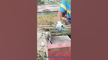 Bamboo Fence Making: Cutting Strips for Weaving Fences