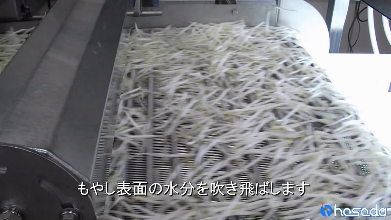 細田工業株式会社【緑豆もやし洗浄ライン】 - YouTube