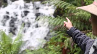 Great Forest National Park - Prof. David Lindenmayer