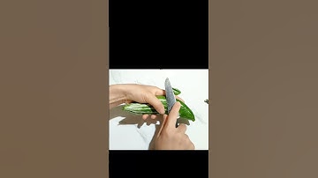 Biến trái cây thành con vật ngộ nghĩnh đáng yêu siêu nhanh. #shorty