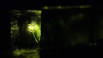 Firefly Jar with ATTiny and Arduino