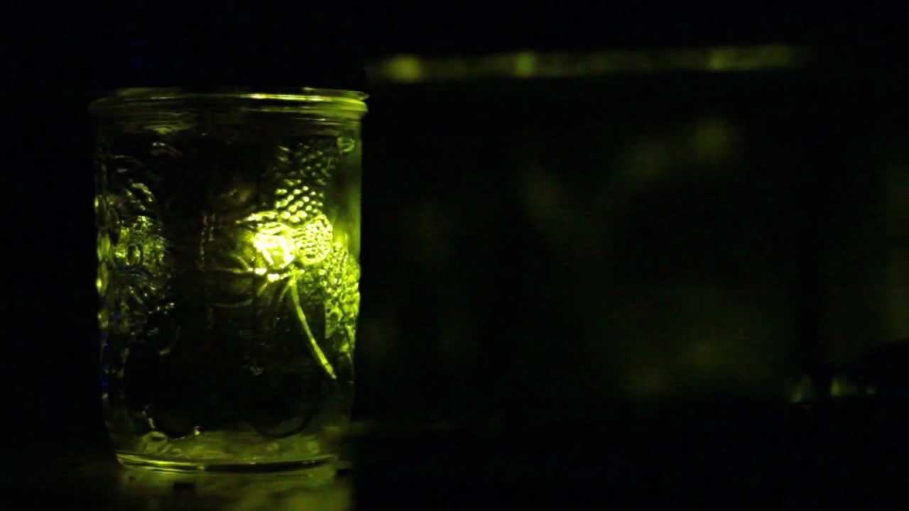 Firefly Jar with ATTiny and Arduino - YouTube for Firefly Insect In Jar
199fiz Firefly Jar with ATTiny and Arduino - YouTube for Firefly Insect In Jar
199fiz