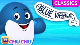 chuchu tv classics blue whale nursery rhyme nursery rhymes and kids songs