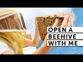 Open a beehive with me  beekeeping 101  easy beekeeping