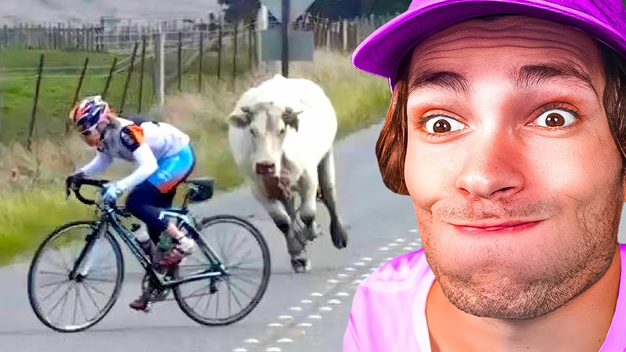 Les TIKTOK les plus DROLES ! (Tu vas Rire 100%)