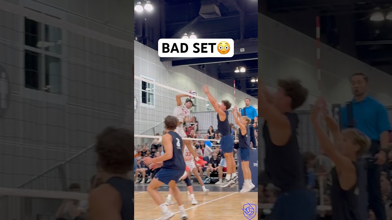 Сеттер ЗАПУСТИЛ нападающего😳 