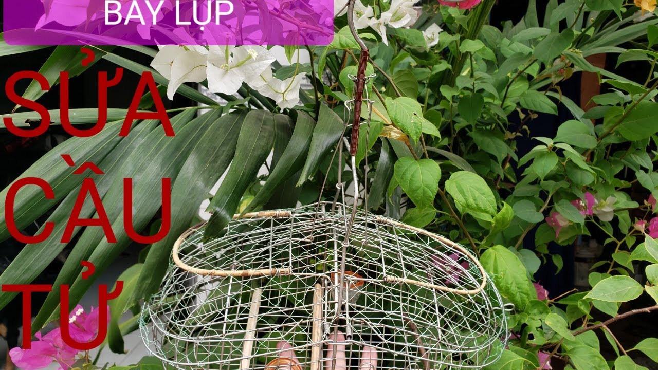 CÁCH CHỈNH SỬA LỒNG BẪY LỤP ĐƠN GIẢN