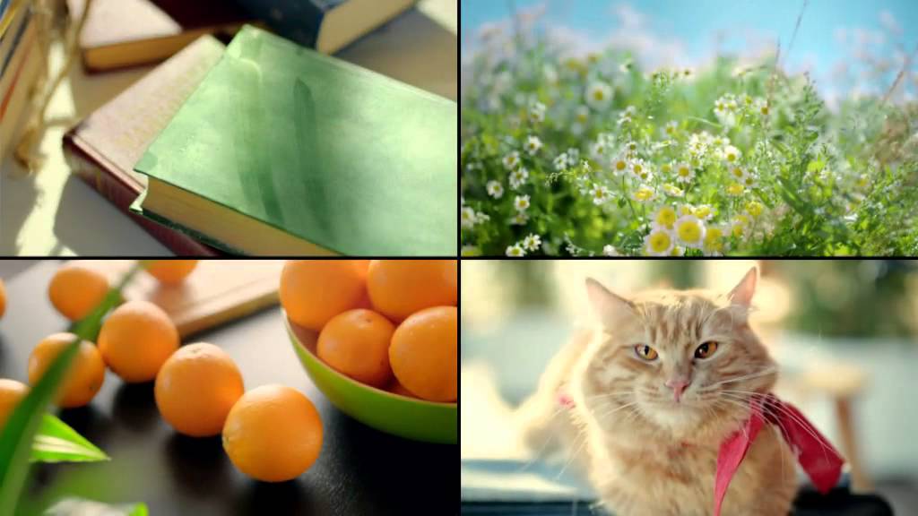 Дезал. Знает вашу аллергию от А до Я!