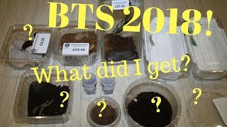 Jumping Spider! And what else did I get? (BTS 2018)