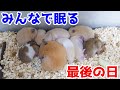 たくさんの愛をありがとう、さようなら