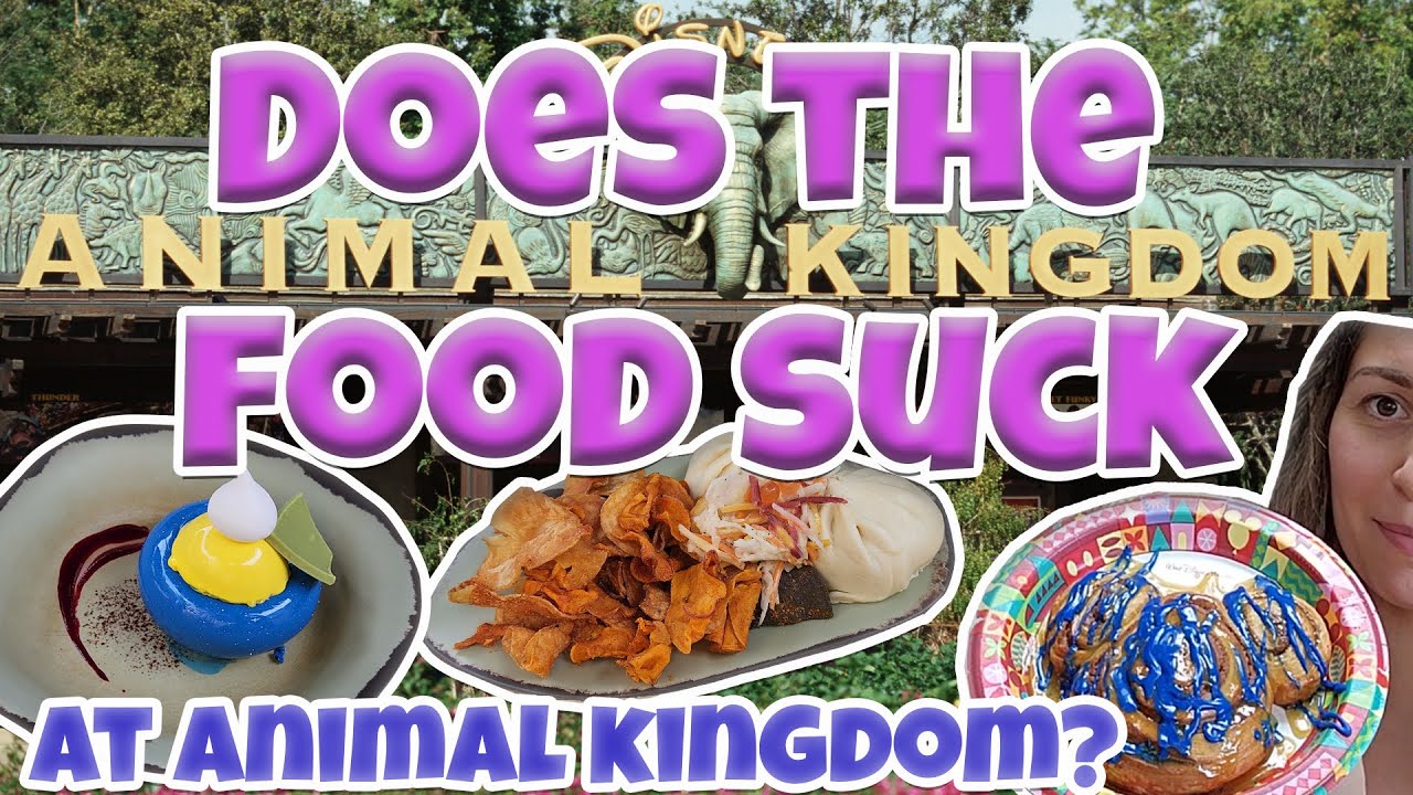 Disney World Animal Kingdom Snacks & Food YouTube