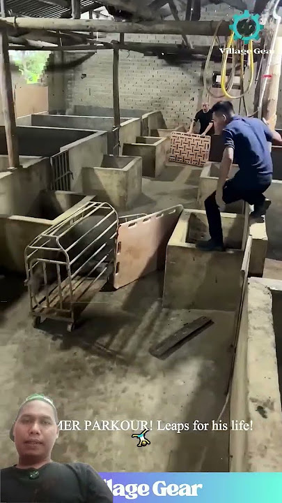 Come on, catch it quickly #challenge #funny #shotrs