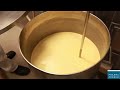 Manufacturing Processes of Tablets & Capsules: Step-by-Step Guide