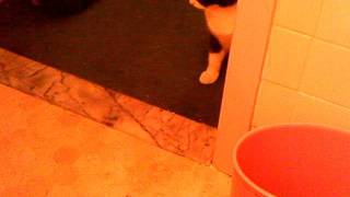 IMAG0037.AVI