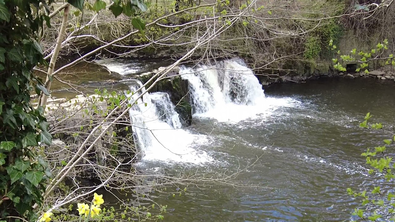 [4K]  Linn Park  |  the Falls on the river White Cart Water  |  Glasgow, Southside.  SCOTLAND