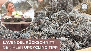 : DIY - Du wirst STAUNEN, welchen COOLEN OSTER DEKO TIPP ich mit nur Stauden R"uckschnitt mache