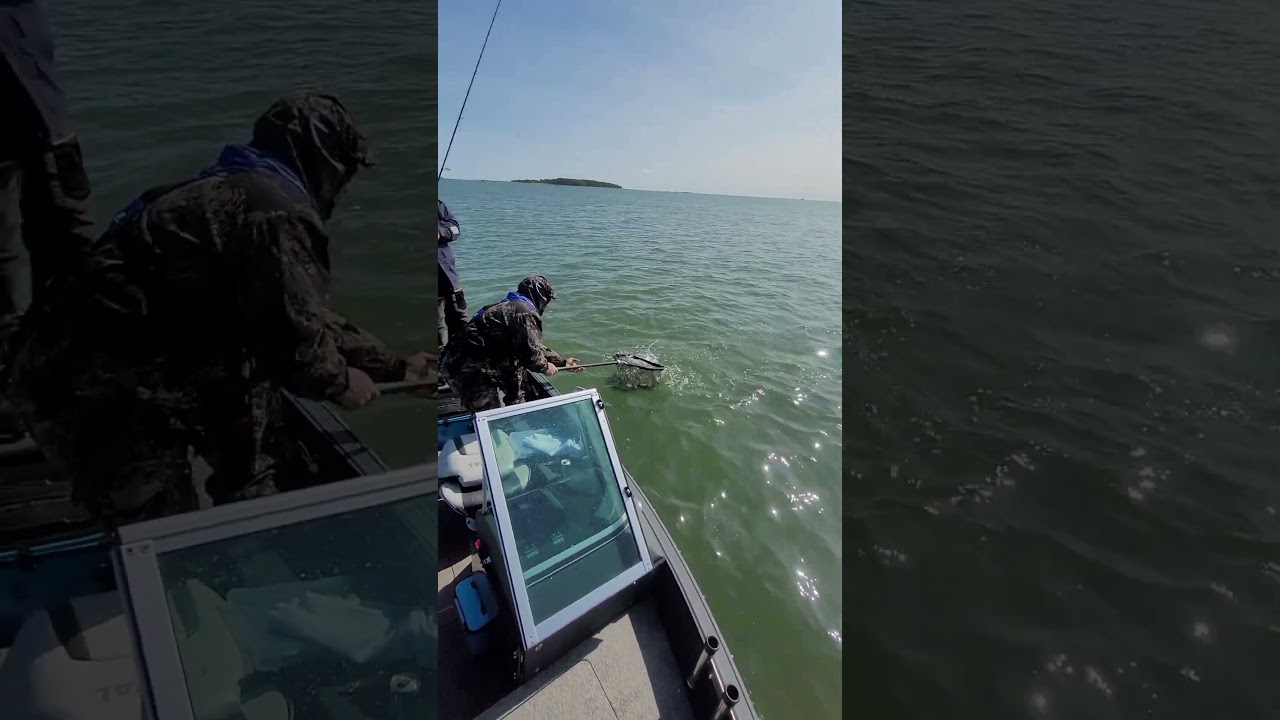 Nice day with friends at the lake in Estonia 