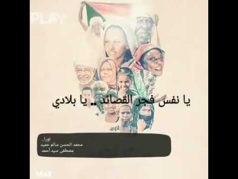 نورا مصطفى سيد أحمد