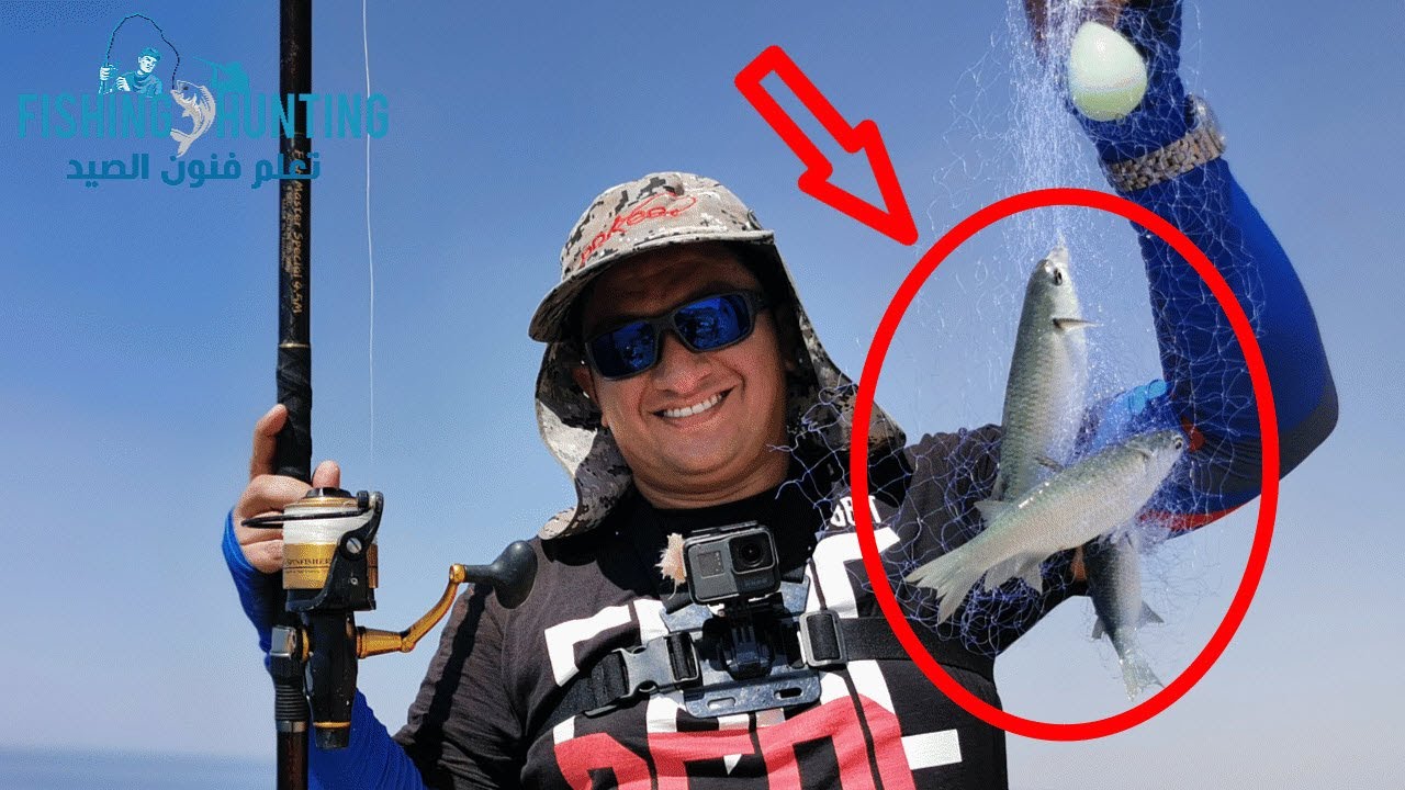 شبكة الفراشه مع سمك البوري