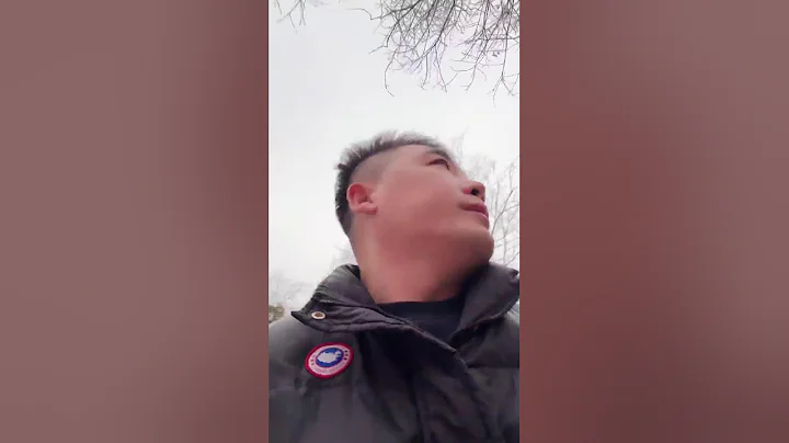 Magical Chinese street food 神奇的中国街头美食  不思議な中国の街グルメ