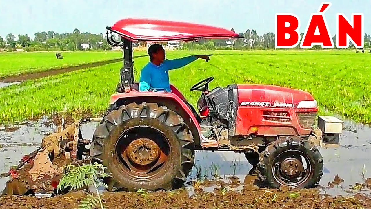 Cần bán máy cày Yanmar EF494T cứng ngắt do tài xế già chạy hết nổi