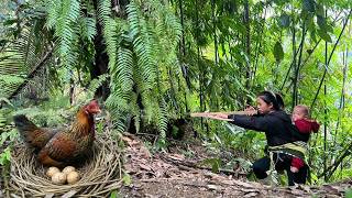 658. 7 Days Surviving on the Mountain | No Tools, No Help – Unexpectedly Finding Wild Chicken Eggs
