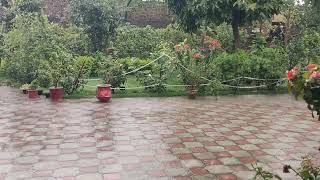 Monsoon First Rain, July 4, 2020 by Birdy Official 858 views 1 year ago 5 minutes, 45 seconds