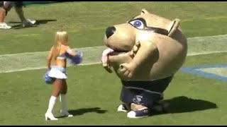 Nfl Funniest Mascot Moments