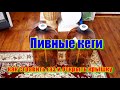 Как открыть пивные кеги? Самая дешевая емкость для браги...