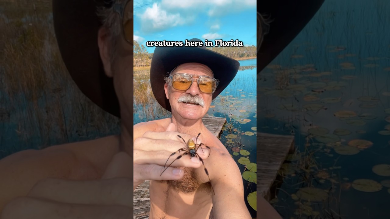 Nothing that is natural is evil (including venomous spiders) 