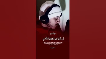 اجمل صوت 🥺🤍 راحة 💫 استماع 🌹 القارئ حمزة بوديب💗✨ . تلاوة هادئة و مريحة لقلبك 🥺🤍✨.