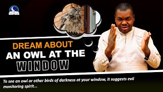Dream About An Owl At The Window - Bird Entering Your House Meaning