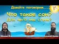 Что такое сон? Для чего мы спим? Алексей Орлов и Михаил Ять